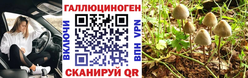 Галлюциногенные грибы прущие грибы  мориарти телеграм  Карабаш 
